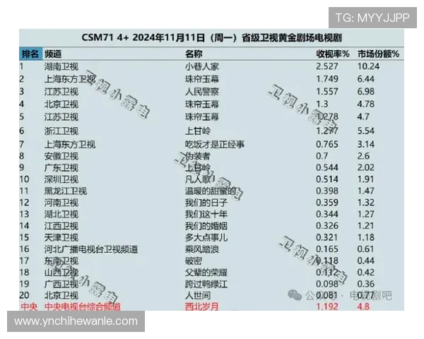 2024年国产电视剧排行榜前十名：刷剧指南，哪个才是你的菜？